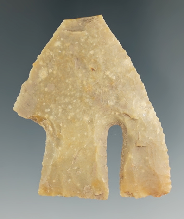 Restorable 2 3/16" Calf Creek found in Texas.