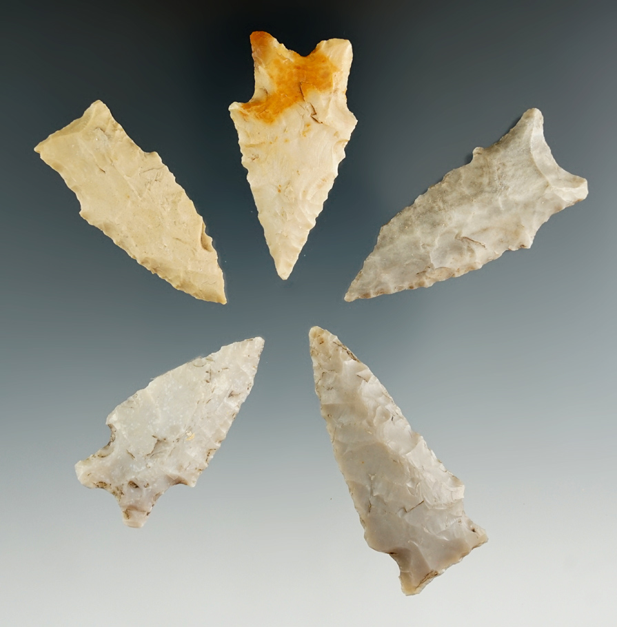 Set of five stemmed points found in Texas, largest is 1 15/16".