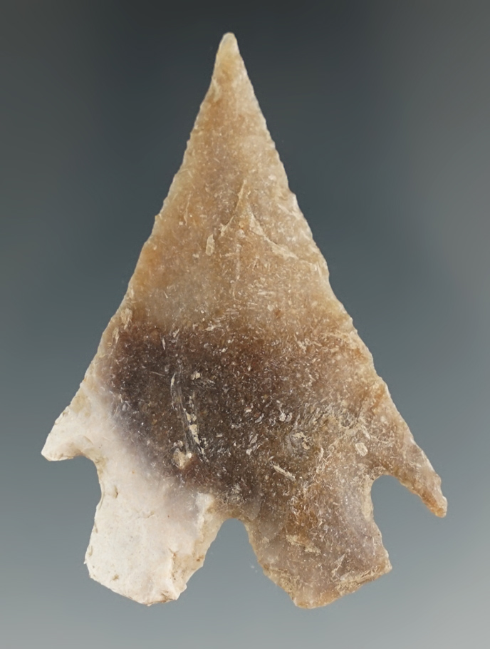 Excellent style on this 2 5/16" Montell made from Multi-color material found in Texas.