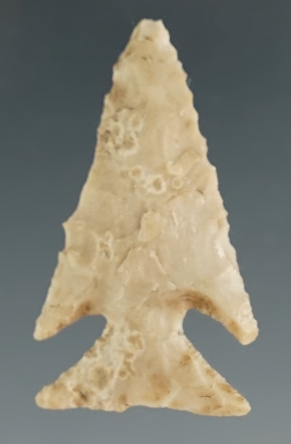 Excellent style on this 1 3/8" Texas Cornernotch.