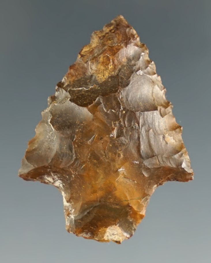 1 5/16" Gatecliff found by Norma Berg along the Columbia River, Washington. Bennett COA