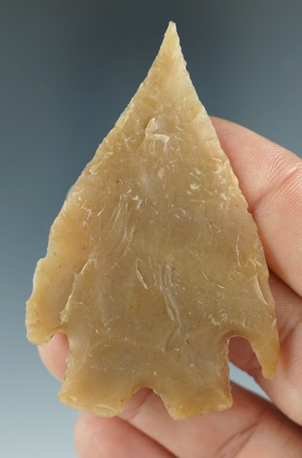 Thin and nice! 2 9/16" Montell with a needle tip found in Texas.