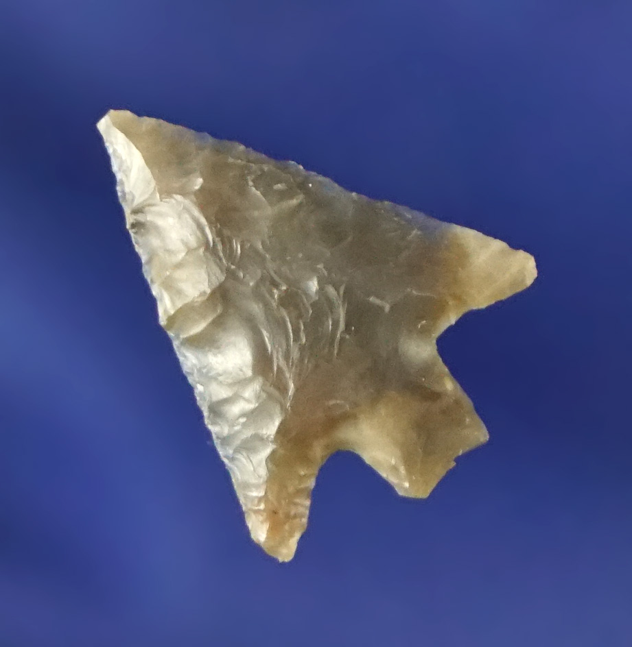 11/16" Wallula Rectangular Stem made from high quality material that is well flaked.