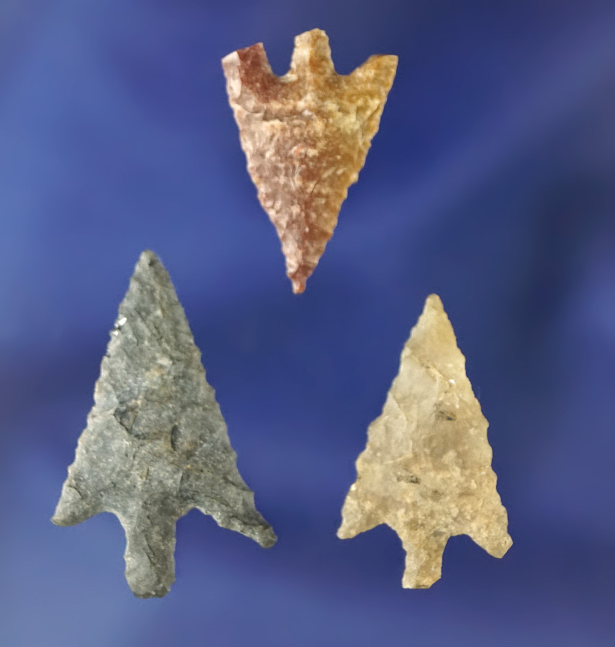 Set of three Columbia River arrowheads, largest is 1 3/16".