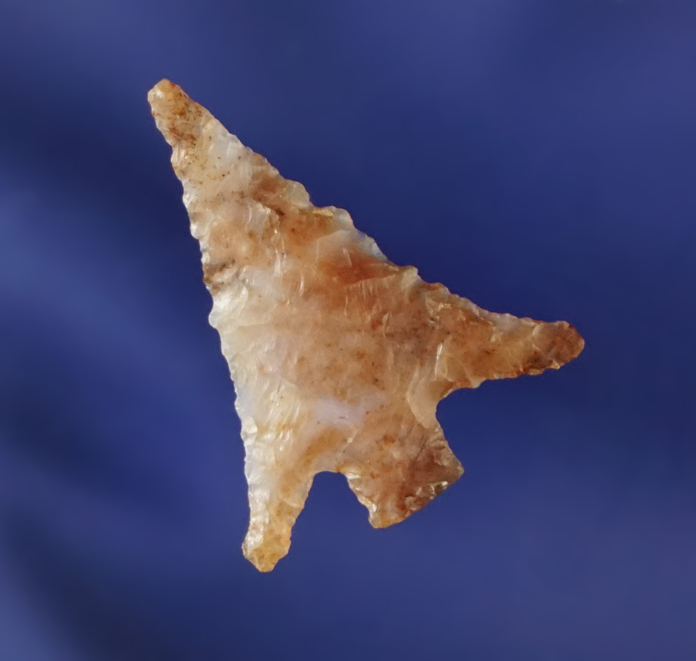 Nice long swept wings on this 15/16" Columbia Plateau made from multicolored Agate.