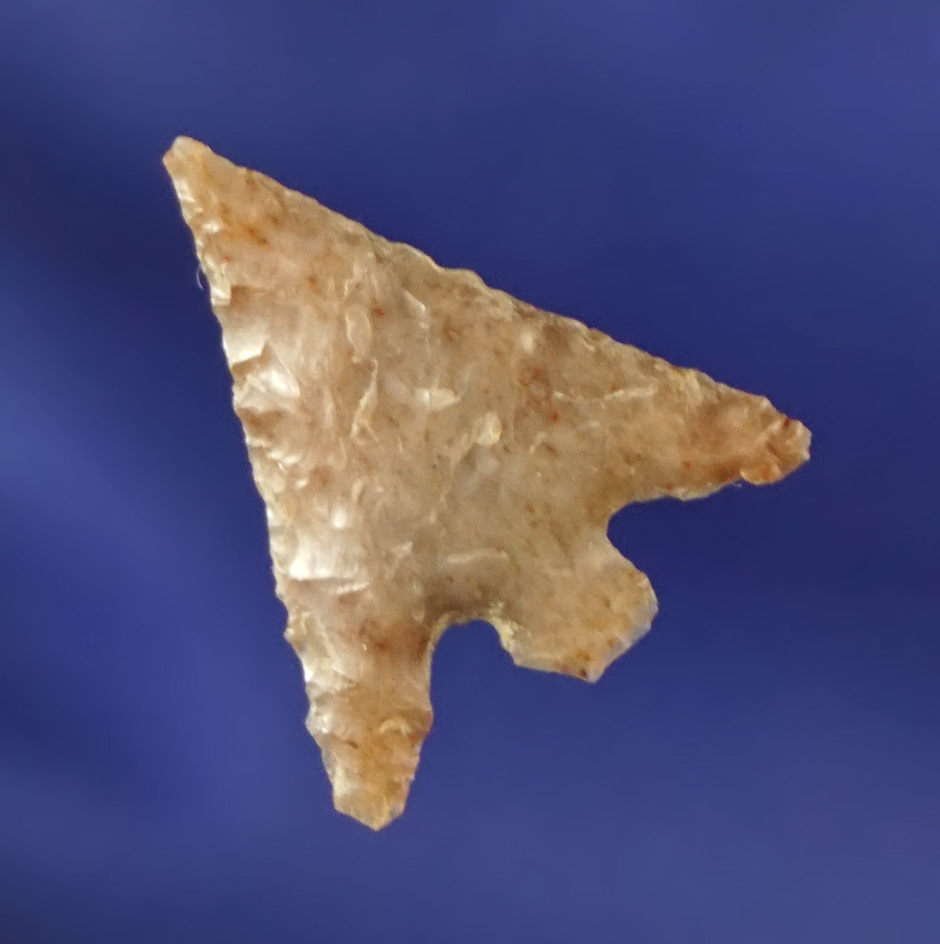 11/16" Columbia Plateau found by Kaye Don Bruce near the mouth of the Yakima River.