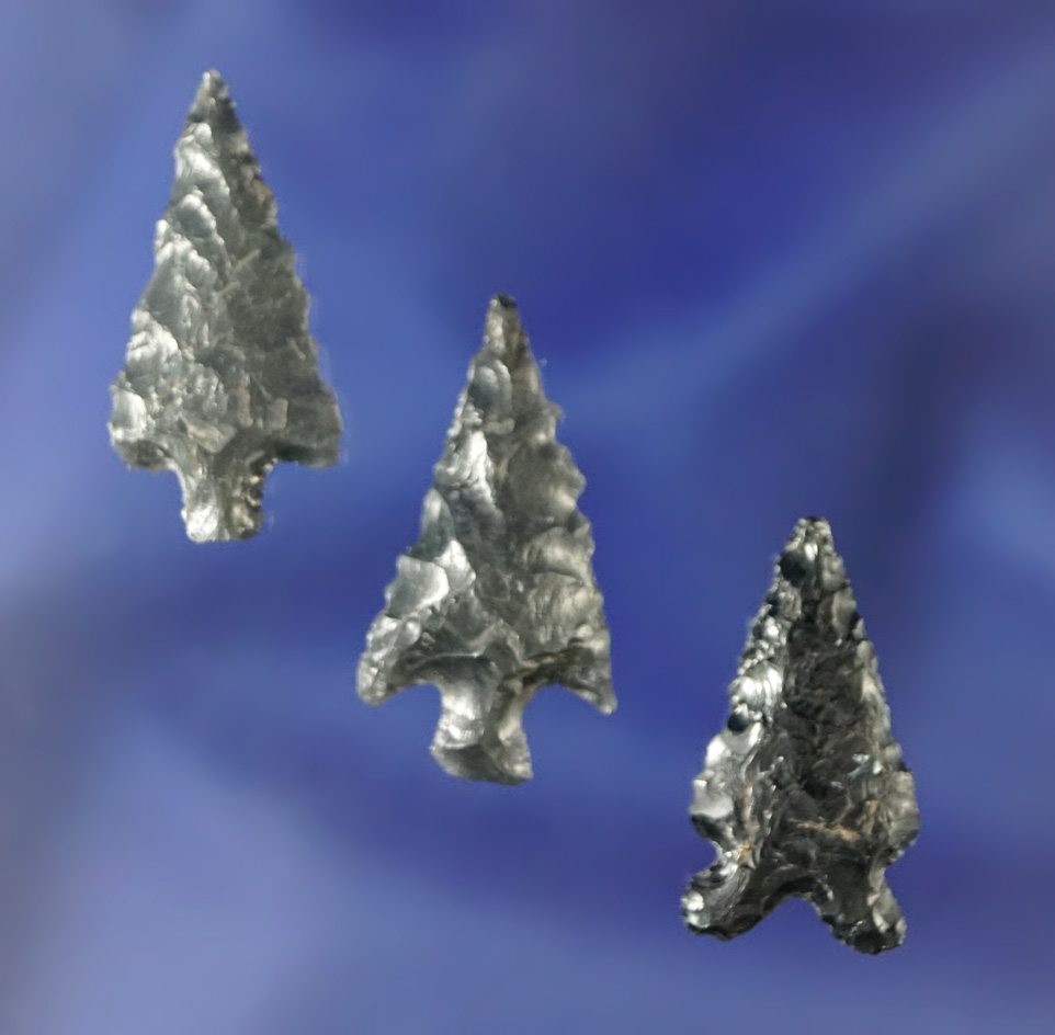 Set of three nicely flaked Obsidian arrowheads found in Oregon, largest is 1 1/16".