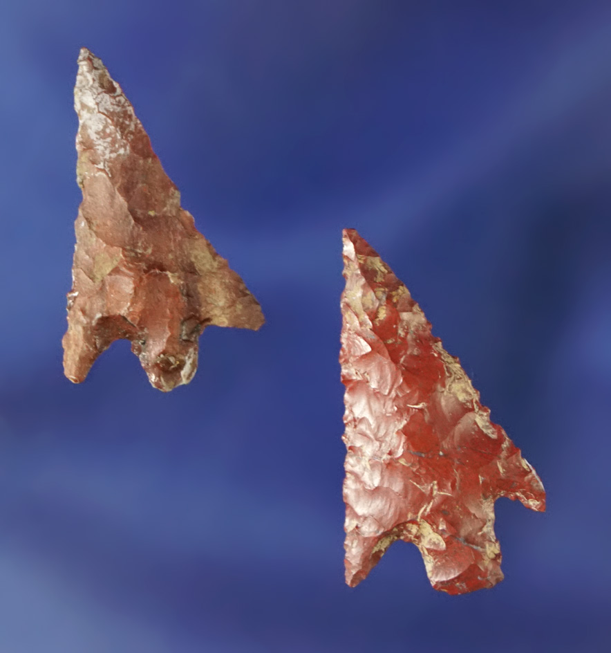 Nice pair of Columbia River arrowheads made from Jasper, largest is 1 1/16".