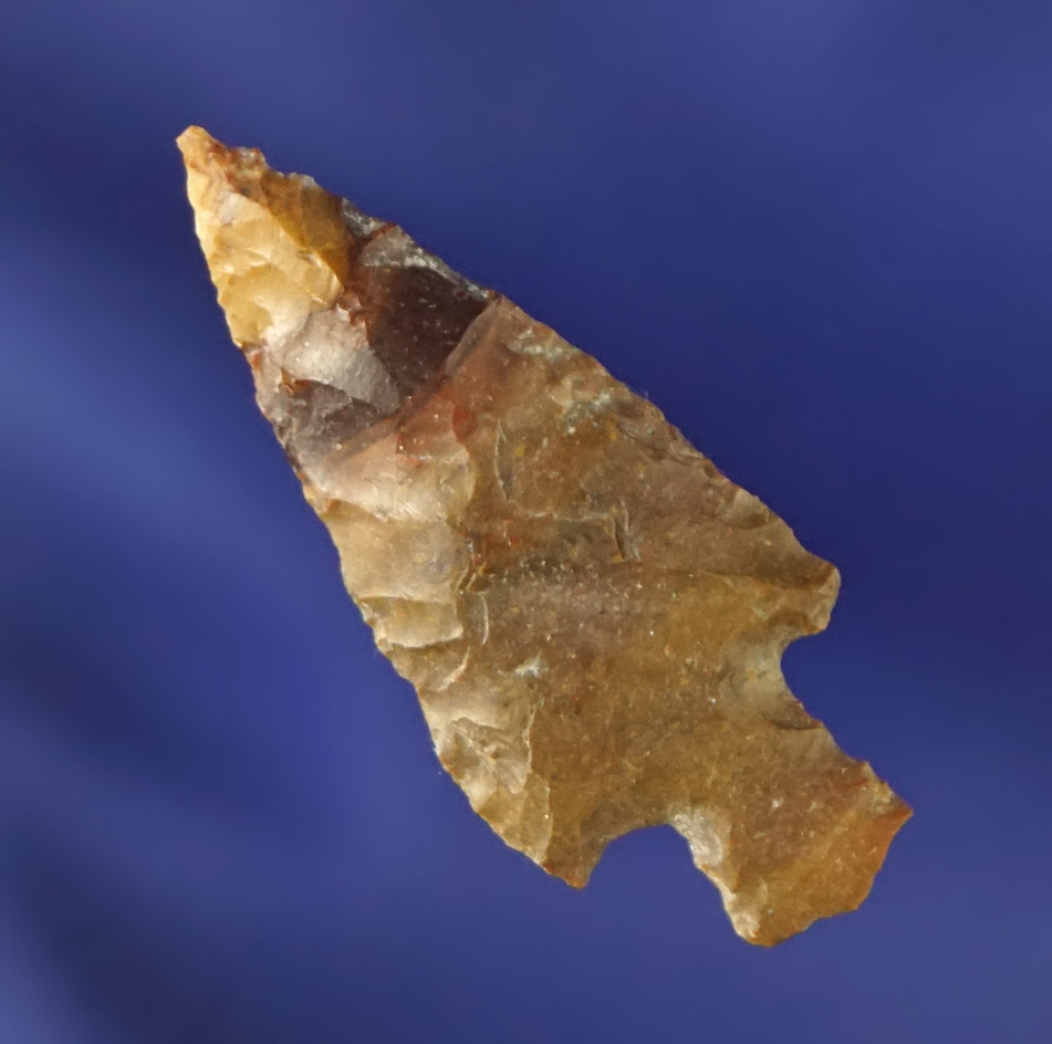 1 1/16" Columbia River arrowhead. Ex. Fred Heimbigner collection.