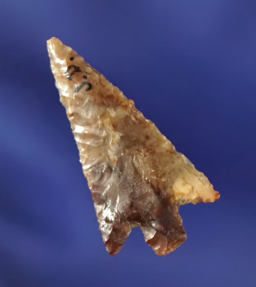 Excellent flaking on this 15/16" Columbia Plateau made from attractive multicolored Agate.