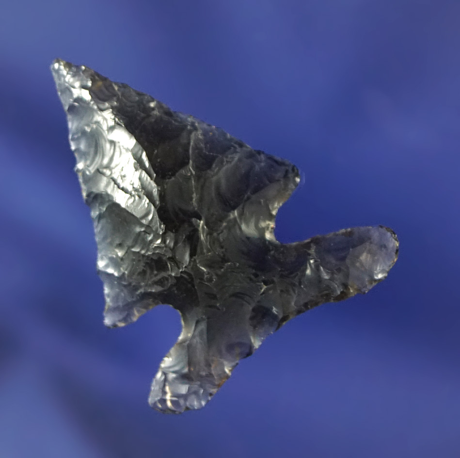 Nice white base on this 1 5/16" translucent Obsidian Sidenotch  found in Oregon.