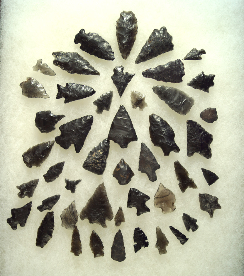 Large group of Oregon area Obsidian projectile points. Largest is 1 5/8".