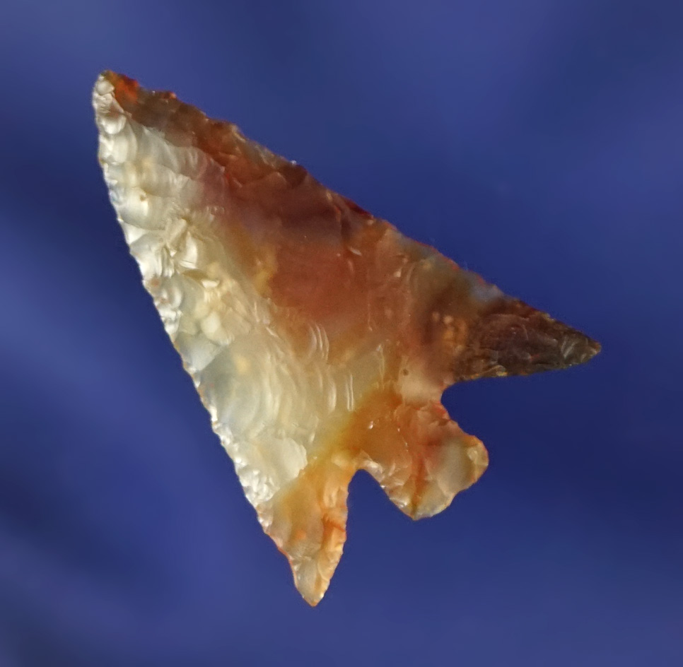 Sale Highlight! Simply incredible material on this 1" Columbia Plateau - multi-colored Agate