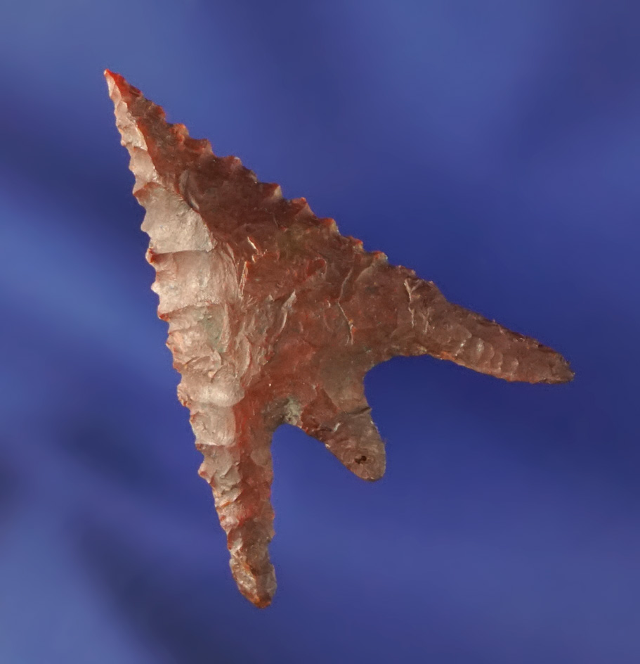 Exceptional 1 3/16" red Jasper Gunther with restoration to part of stem and part of one Barb.