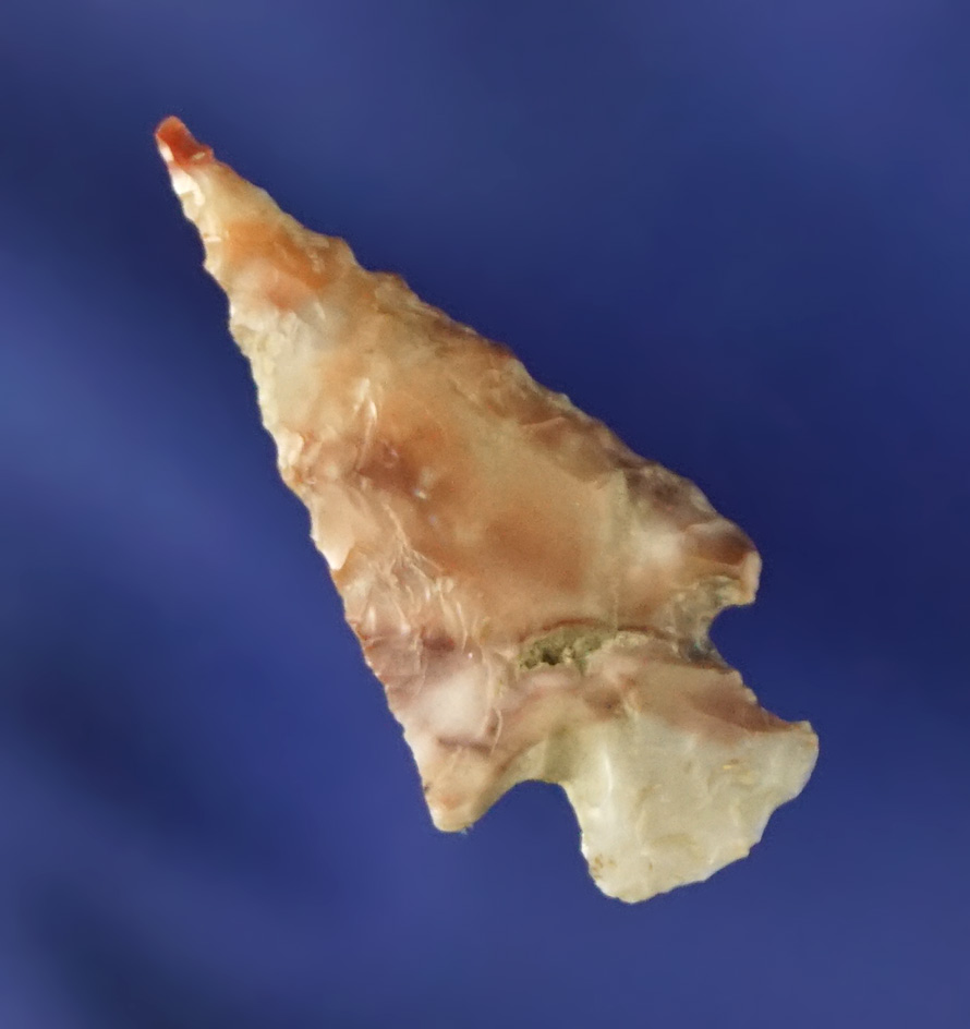 15/16" Columbia River arrowhead made from attractive multicolored material.