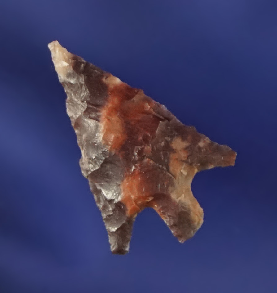 13/16" Columbia Plateau made from attractive multi-colored material. Found near the Columbia