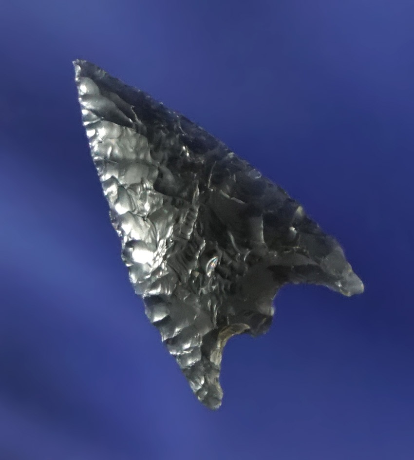 3/4" finely flaked Obsidian Gunther. Found by Jack Benedict near the Rogue River, Oregon.