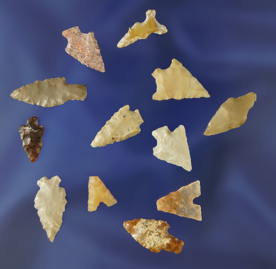 Set of 12 assorted Western U.S. bird points, largest is 5/8".