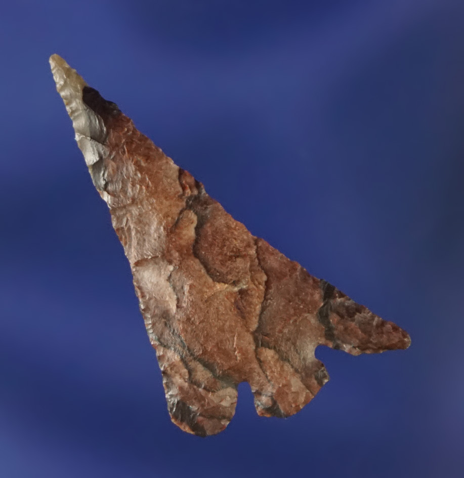 1 1/4" Columbia Plateau with a nice swept wing made from beautiful multi-colored material.