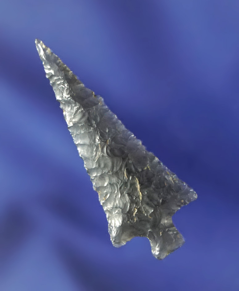 1 3/8" translucent Obsidian Rose Spring with exceptional flaking and style. Very thin, Obsidian.