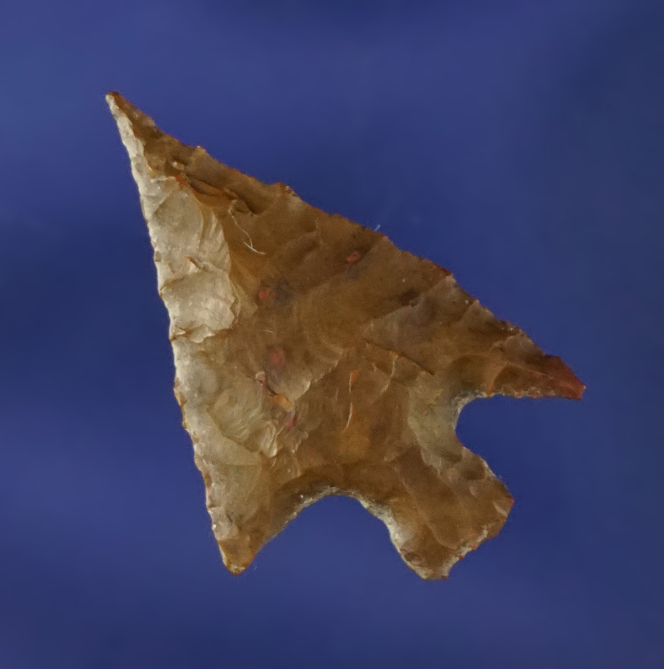 7/8" Rose Springs made from Jasper with a nice needle tip found near Klamath Lake, Oregon.