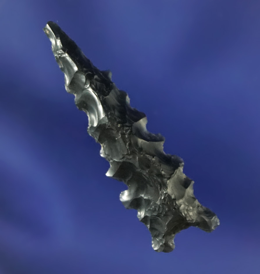 Nicely serrated 1 5/16" Obsidian arrowhead found in the western U.S.
