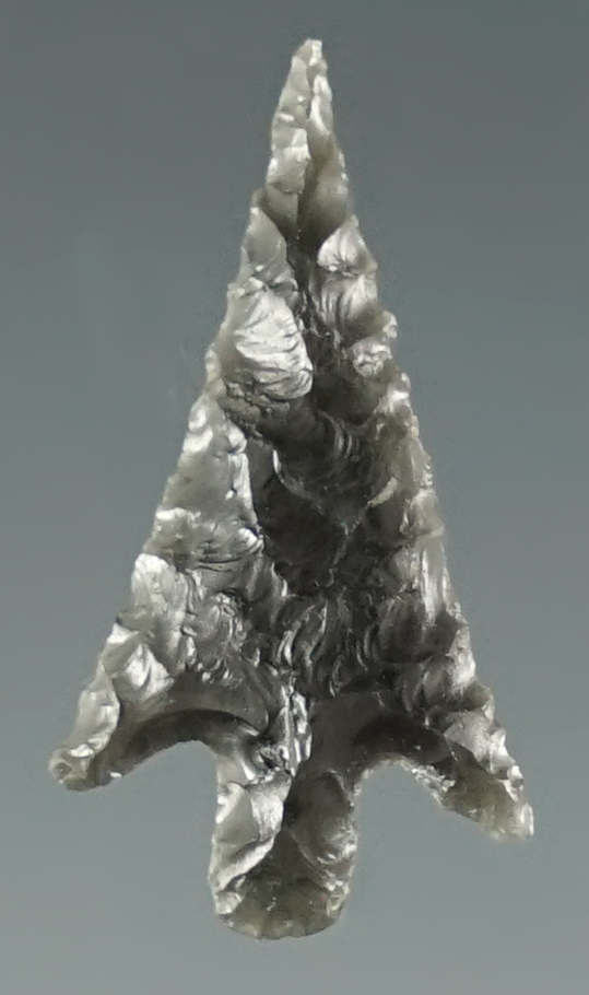 7/8" Columbia Plateau made from Black Obsidian. Found near the Columbia River, Oregon.