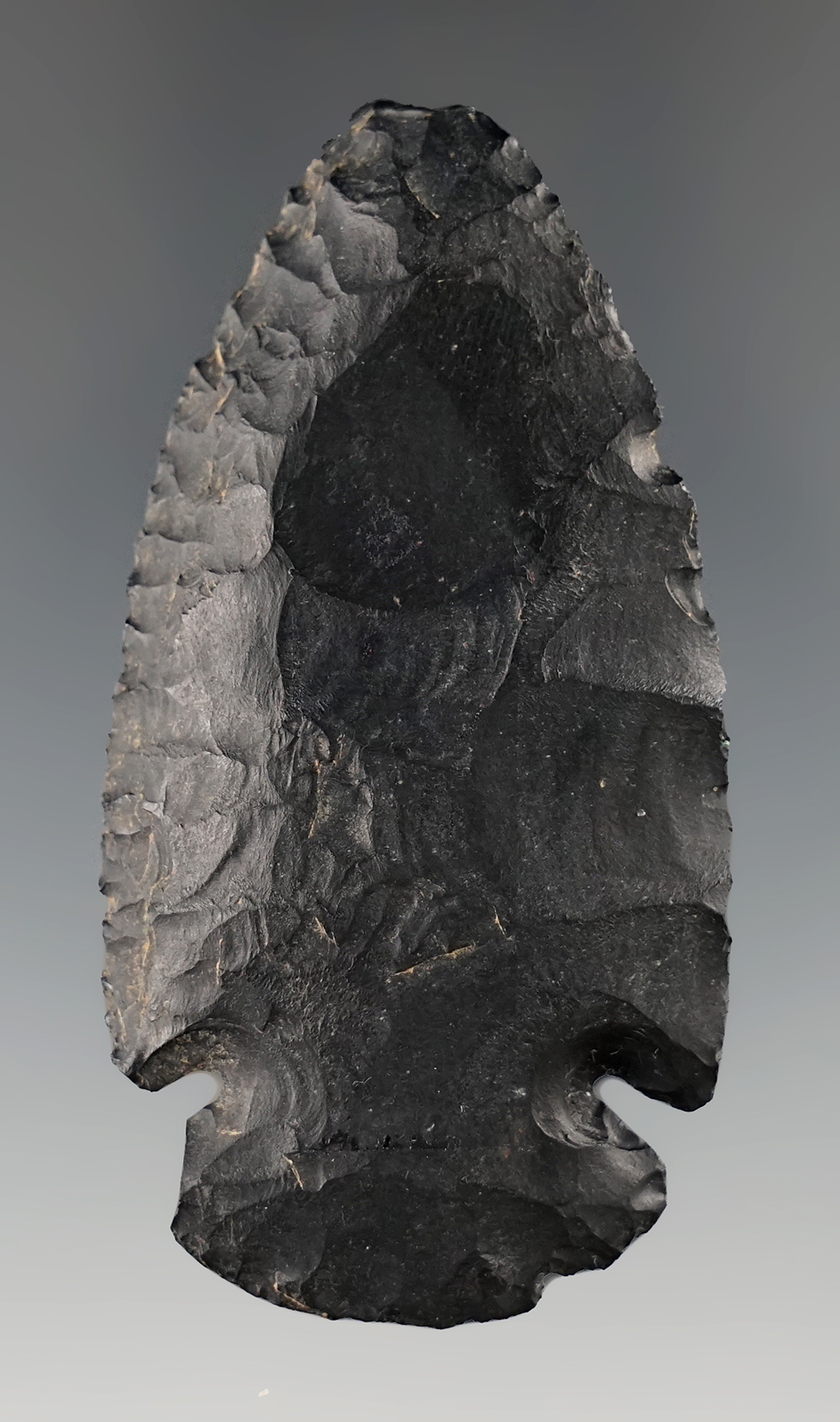 2 5/8" Dovetail with a couple nicks found in Boone Co., Missouri.