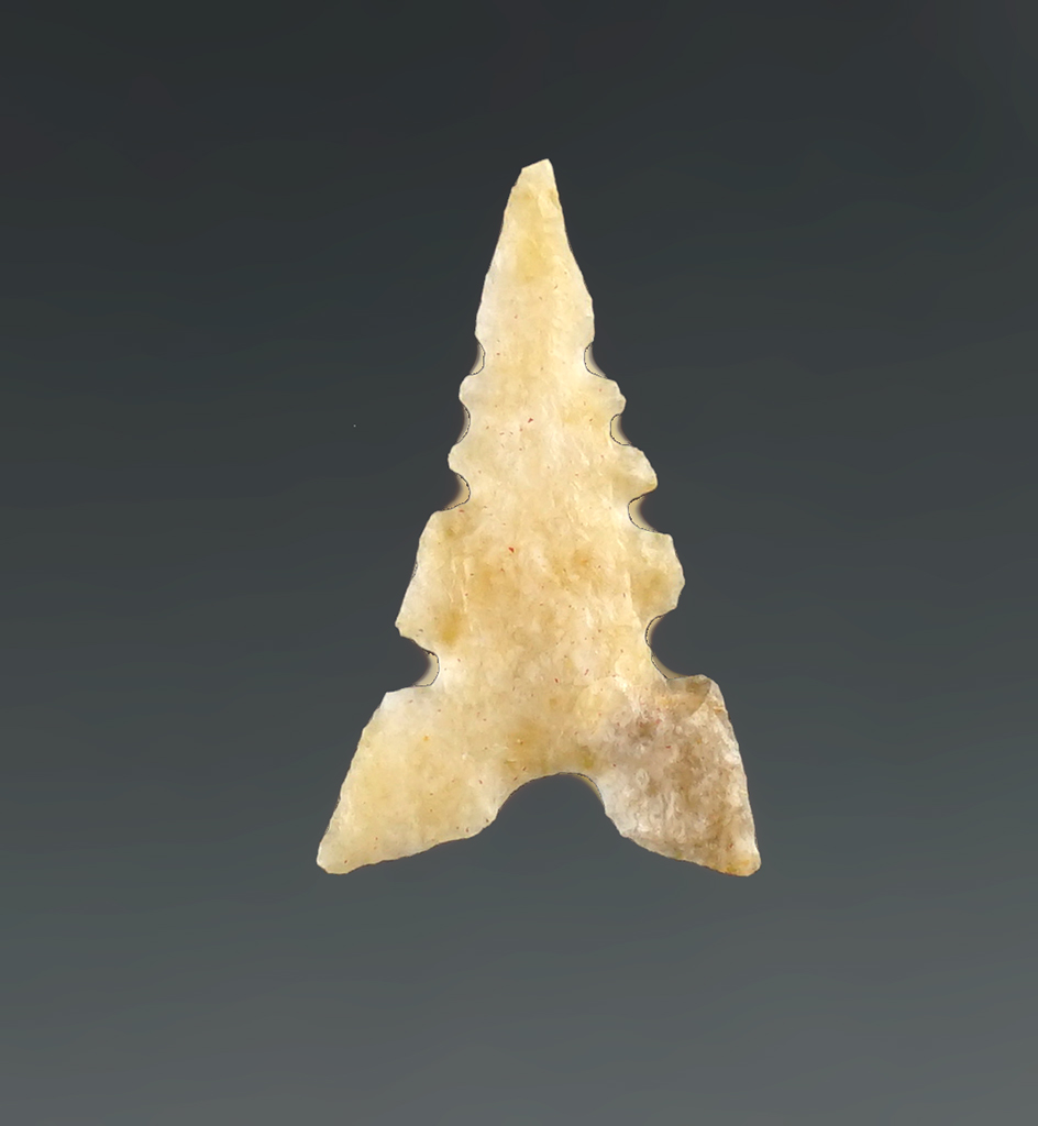 Nice serrations on this 13/16" Toyah point found in Texas