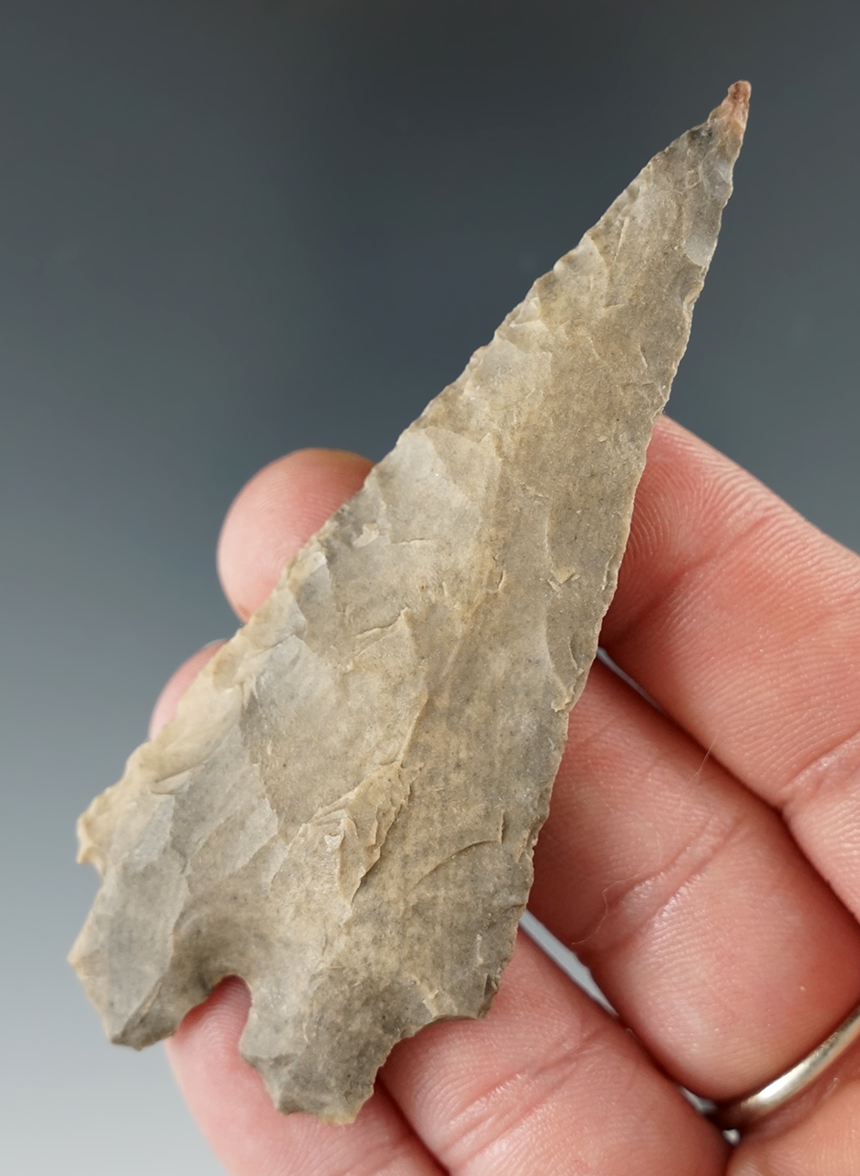 3 1/4" Montell found in Texas.