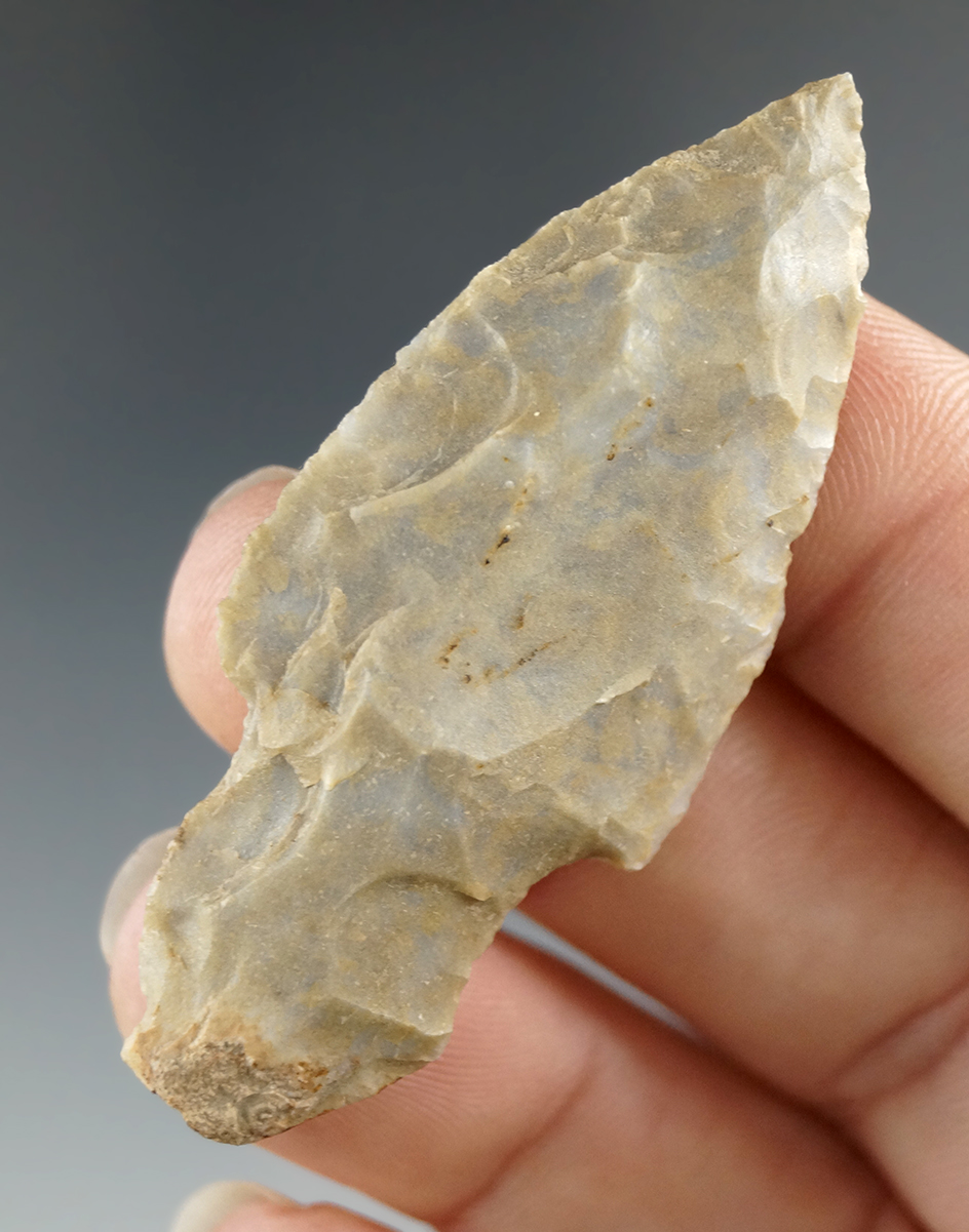 2 1/8" Turkeytail point found in Whiteside Co., Illinois.