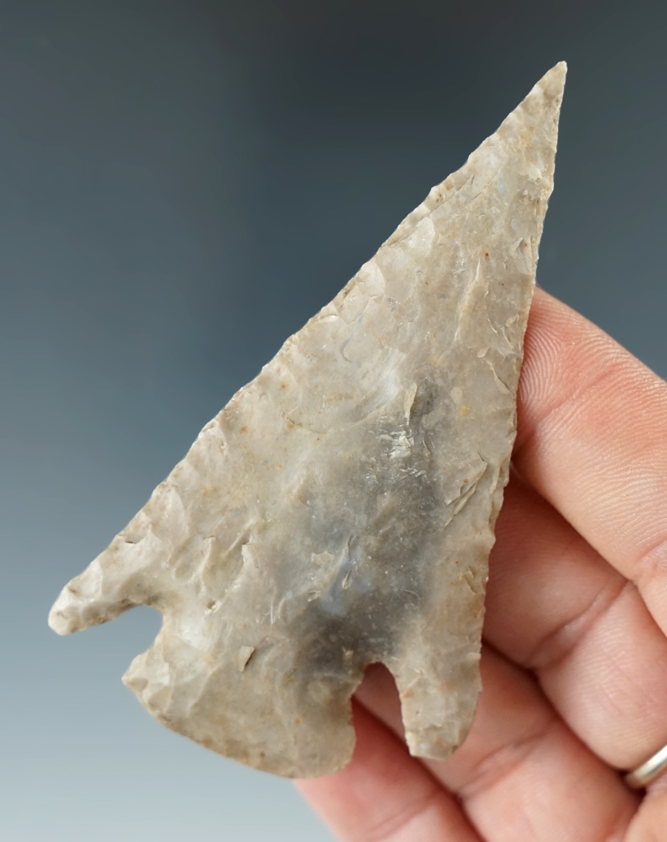 3 1/16" Williams point found in Lampasas Co., Texas. Comes with a Rogers COA.