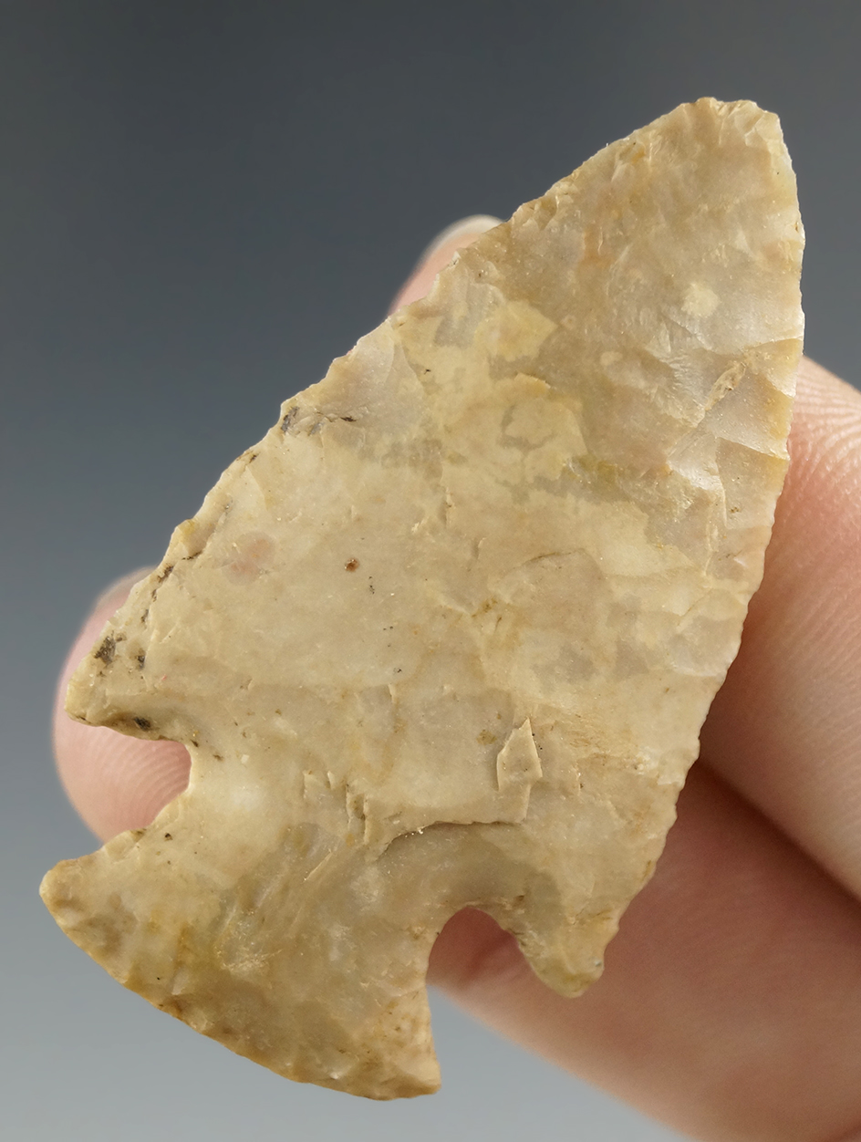 1 13/16" Cornernotch point found in Illinois.