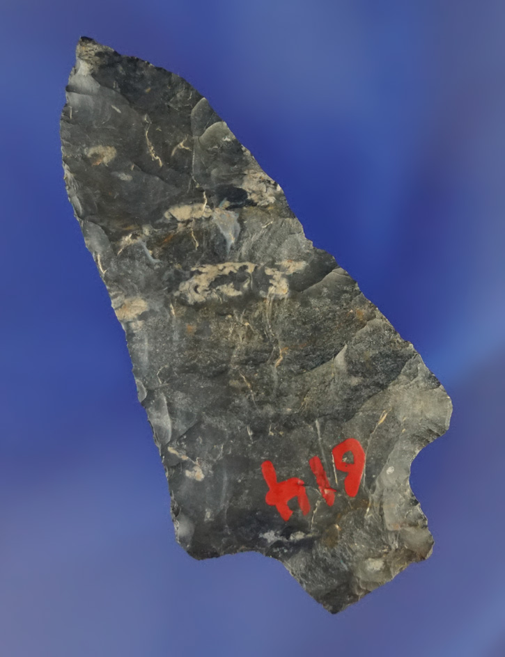 Nice needle tip on this 2 7/8" Archaic Stemmed point found in Lucas Co.,  Ohio - Coshocton Flint.