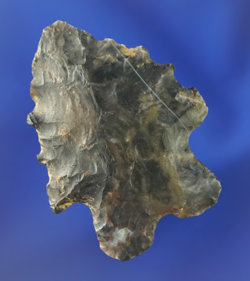 1 3/4" high-grade Coshocton Flint serrated Bifurcate found in Richland Co.,  Ohio.