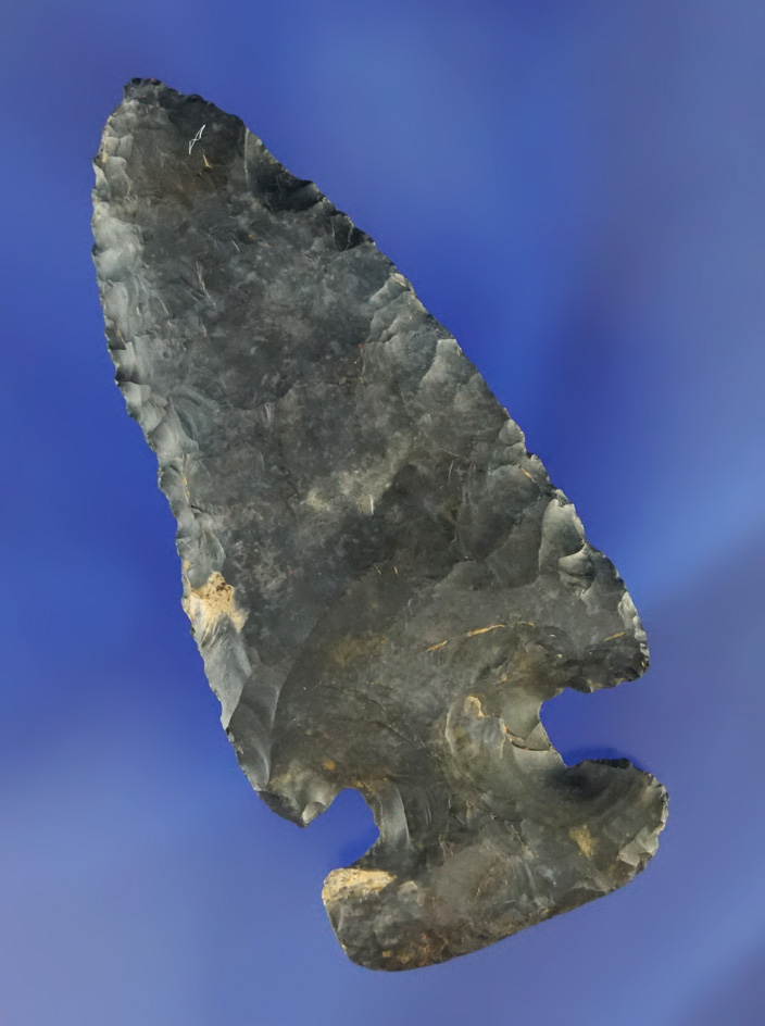 2 15/16" Coshocton Flint Thebes Archaic Bevel found in Fairfield Co.,  Ohio.