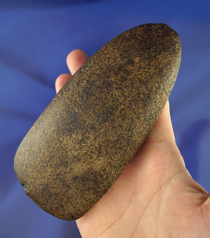 5 5/16" flat & thin highly polished Hardstone Adze found in Paulding Co.,  Ohio. Excellent condition