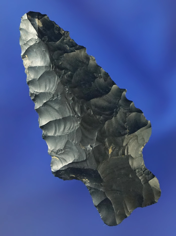 2 1/4" black Zaleski Flint Archaic Heavy Duty with nice serrations found near the Auglaize River.