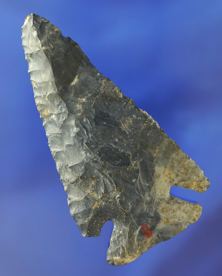 3 3/8" Archaic deep Notch Bevel made from Coshocton Flint.