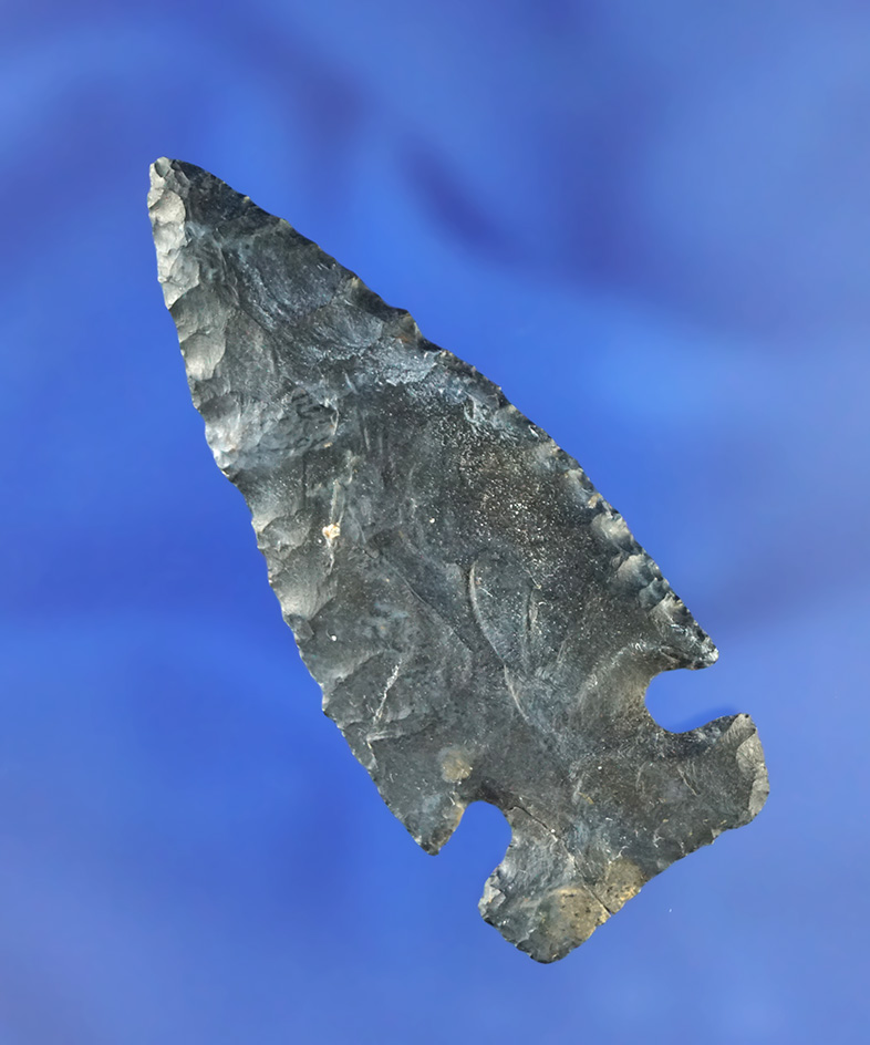 Thin 2 3/16" Coshocton Flint Intrusive Mound - Ohio. One ear on base reglued. Ex. Potter.