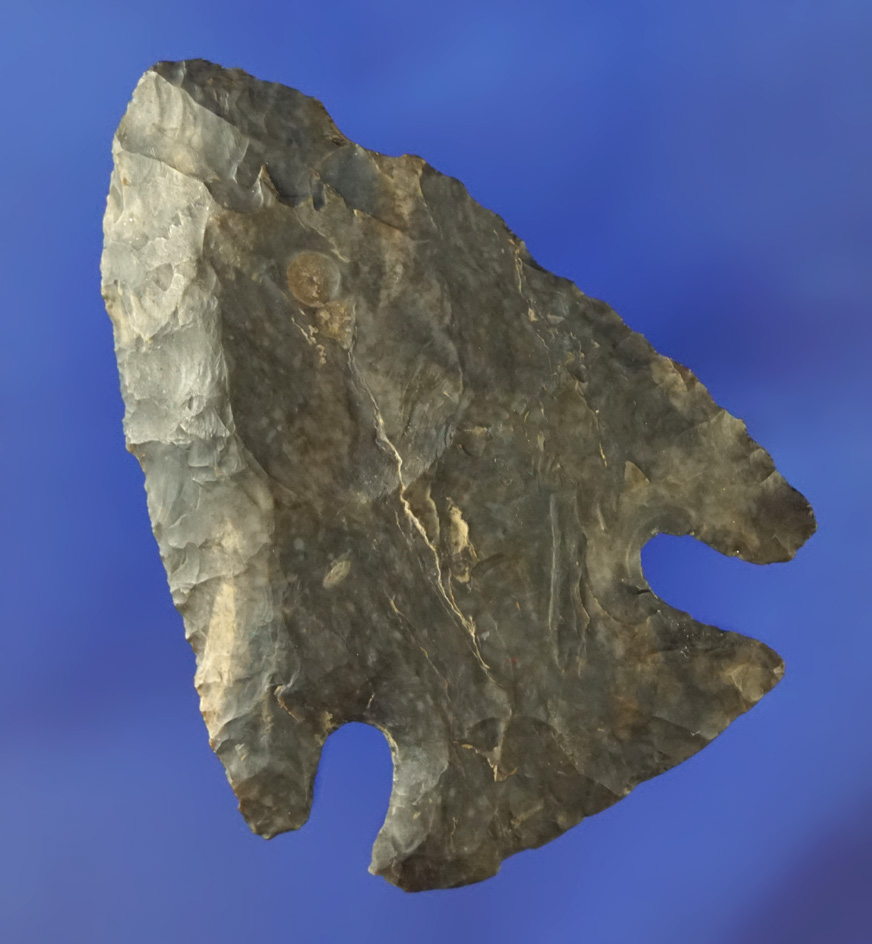 2 5/8" Archaic Lost Lake made from Coshocton Flint found in Ohio.