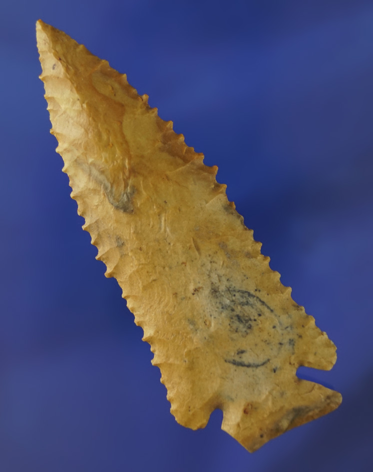 Wicked serrations on this 3 7/8" Pinetree found in Adams Co.,  Ohio. Comes with a Davis G-9 COA.