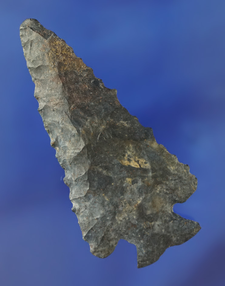 Nicely beveled 3 1/16" Coshocton Flint Notched Base Dovetail found in Ohio.