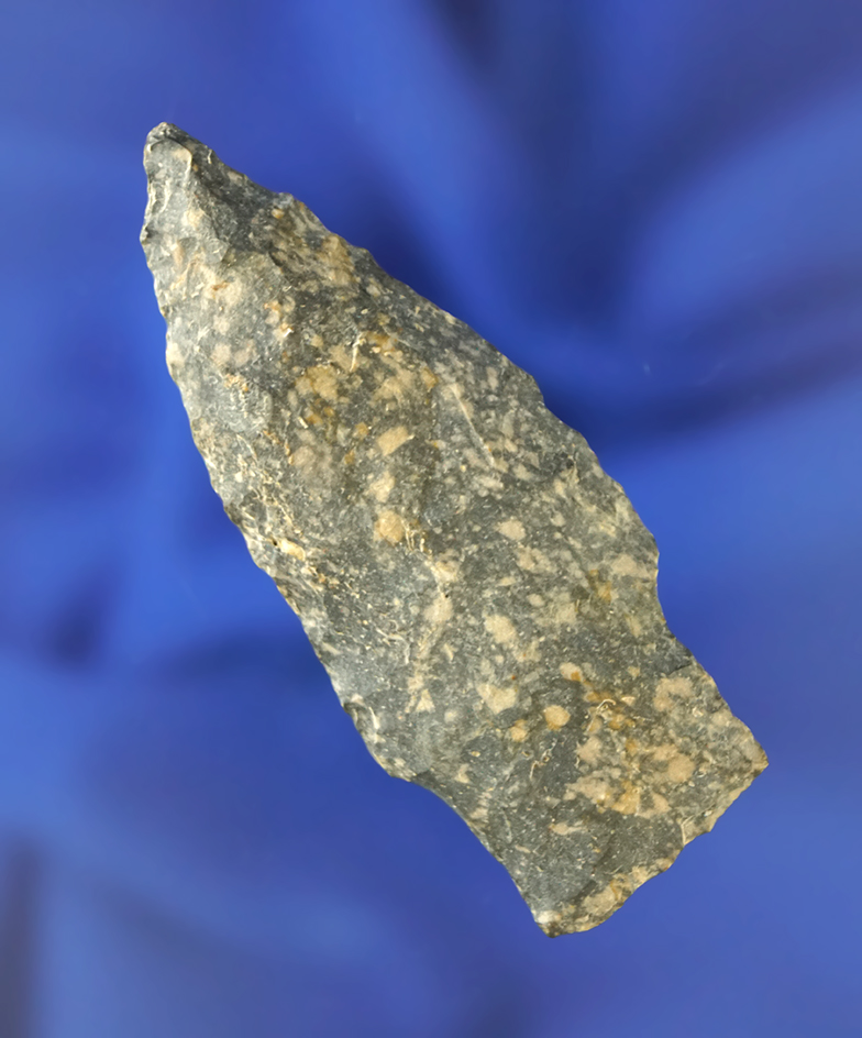 2 1/2" Stemmed Dart Point found in Wayne Township, Knox Co.,  Ohio in the 1950s..