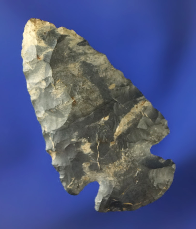 1 7/8" miniature Dovetail made from multicolored Coshocton Flint found in Defiance Co.,  Ohio.