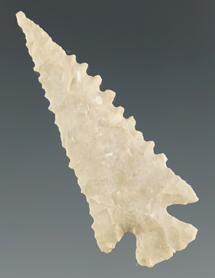 Excellent serrations on this 1 1/2" Texas Arrow Point in excellent condition.