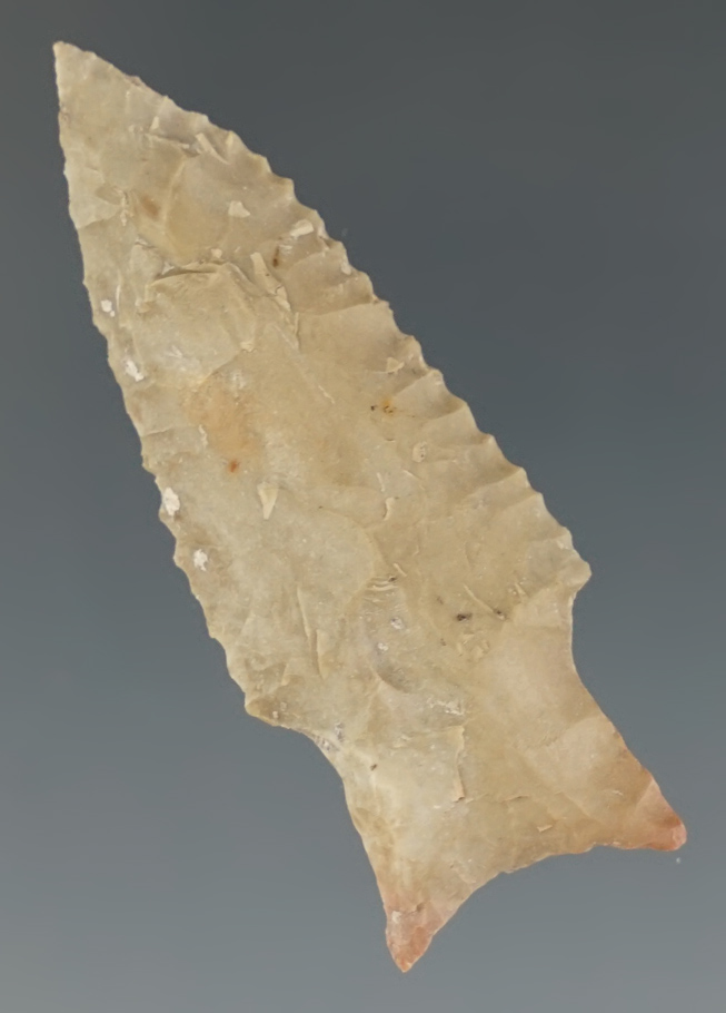 1 7/8" Darl found in Bell Co., Texas. Comes with a Rogers COA.