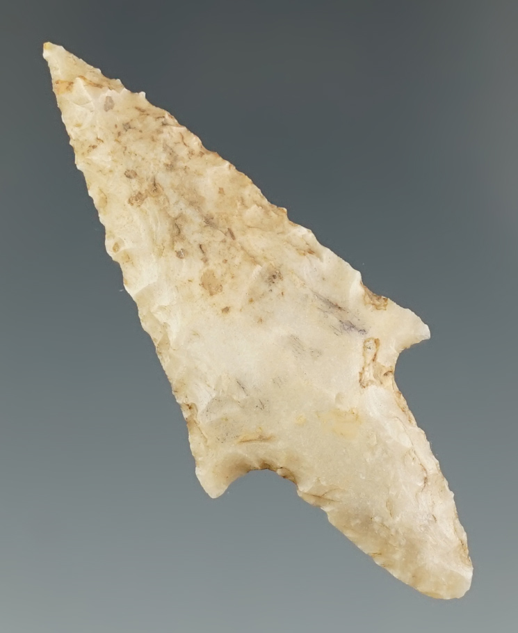 2 1/8" Arenosa that is very nicely styled, found in Texas.