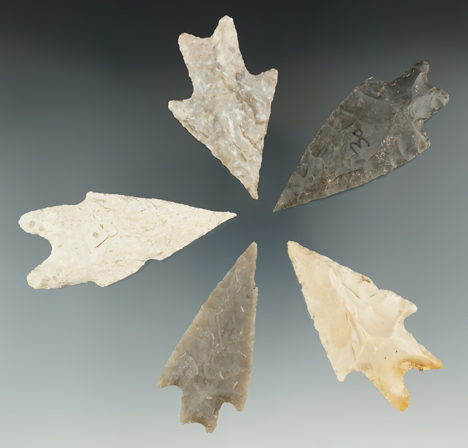 Set of five Pedernales Points found in Texas, largest is 2 3/4".
