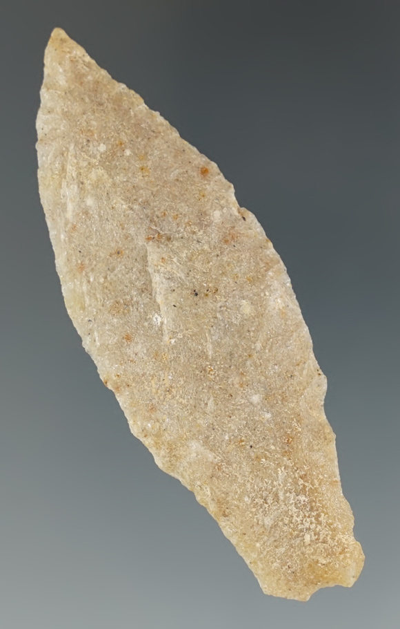 2 15/16" Hell Gap made from silicified Sandstone. Found in Wilson Co., Texas. Rogers COA.